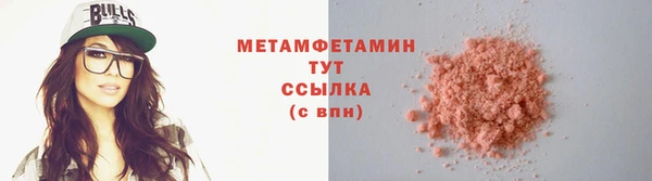 прущие грибы Бородино