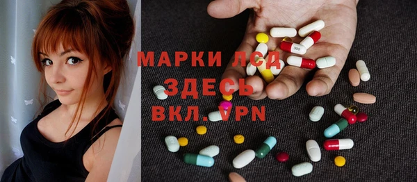 прущие грибы Бородино
