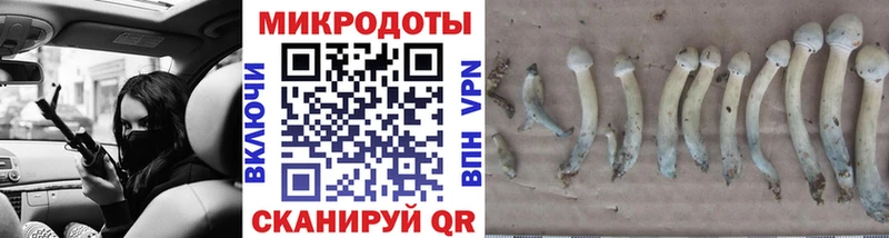 mega   Жиздра  Галлюциногенные грибы ЛСД 
